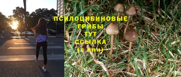 не бодяженный Болохово