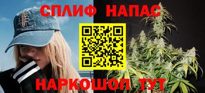 СК Гагарин