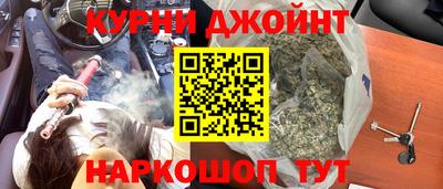 СК Гагарин