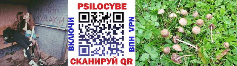 цена наркотик Чусовой hydra ССЫЛКА Галлюциногенные грибы Magic Shrooms