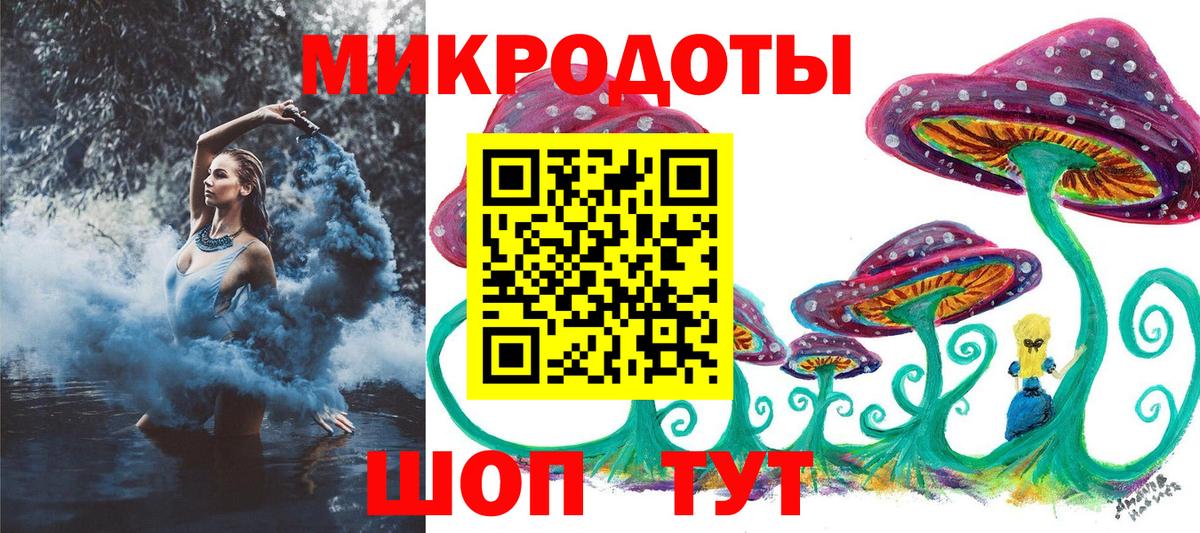 Псилоцибиновые грибы мицелий  Чусовой  Галлюциногенные грибы Psilocybe 