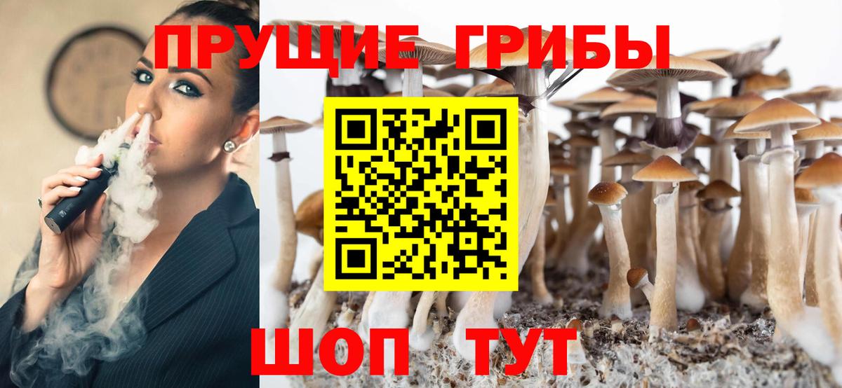 купить  сайты  Псилоцибиновые грибы Psilocybe  Вход с VPN  Чусовой 